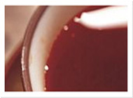 电话短信轰炸机